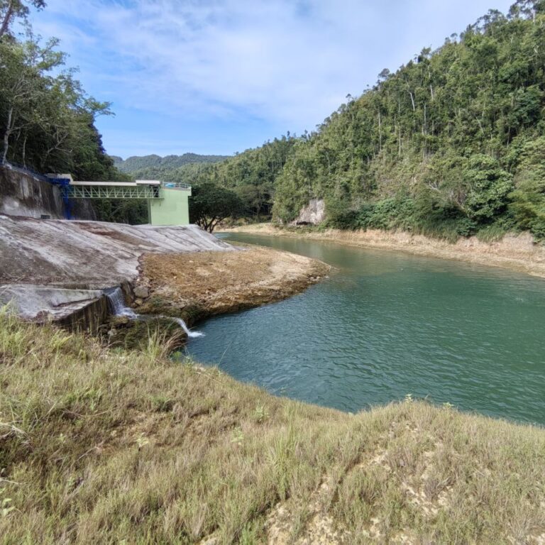 Loboc02_04