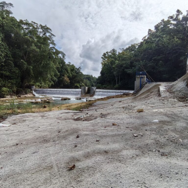 Loboc02_05